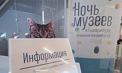 Город засыпает, открываются музеи