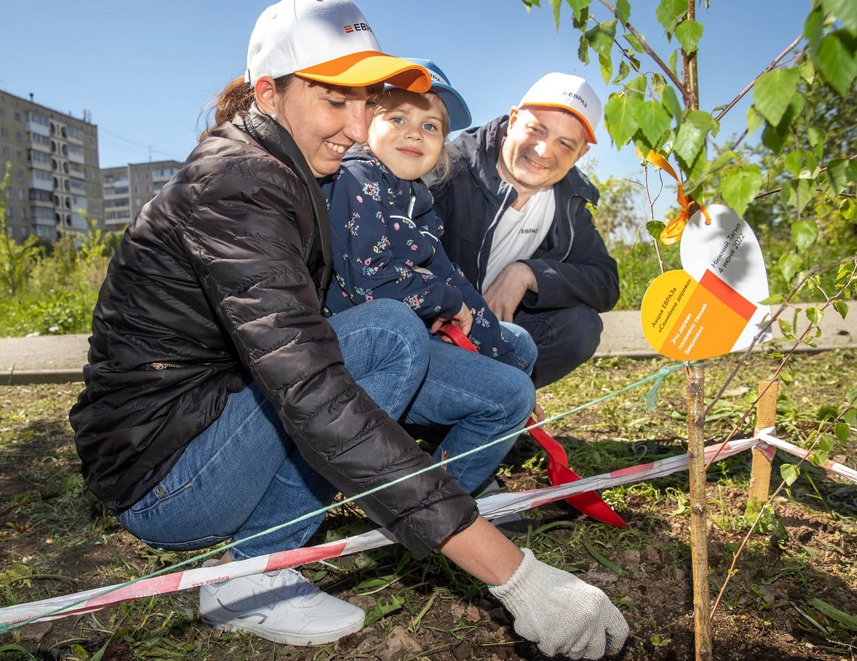 Металлурги ЕВРАЗ НТМК высадили в Нижнем Тагиле аллею саженцев молодых берез
