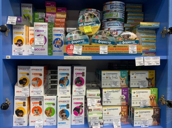 Дорогие животные Дорогие животные