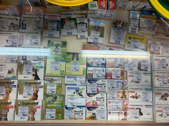 Дорогие животные Дорогие животные