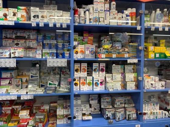 Дорогие животные Дорогие животные