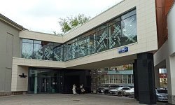 Год после открытия