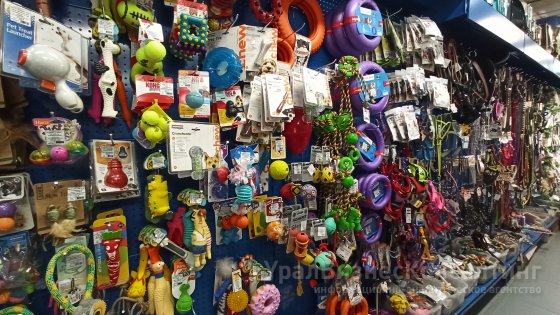 Русская жизнь домашних животных