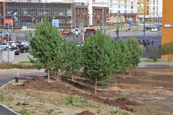 Преображение идет по плану