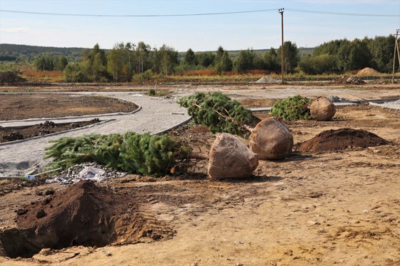Преображение идет по плану