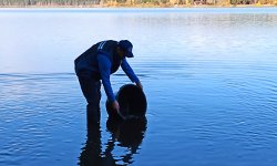 Рыбно-экологический баланс