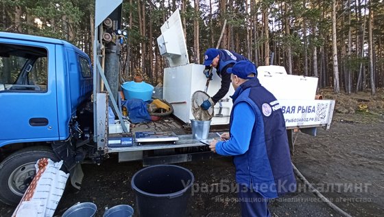 Рыбно-экологический баланс Рыбно-экологический баланс