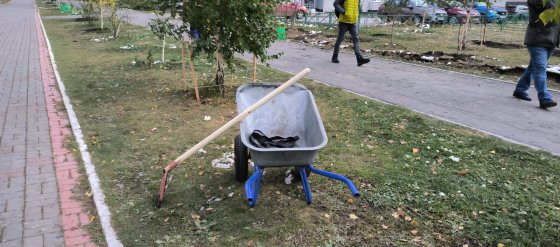 День Академического