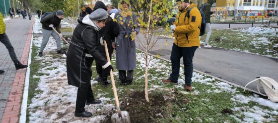 День Академического