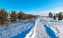 Преображение завершено