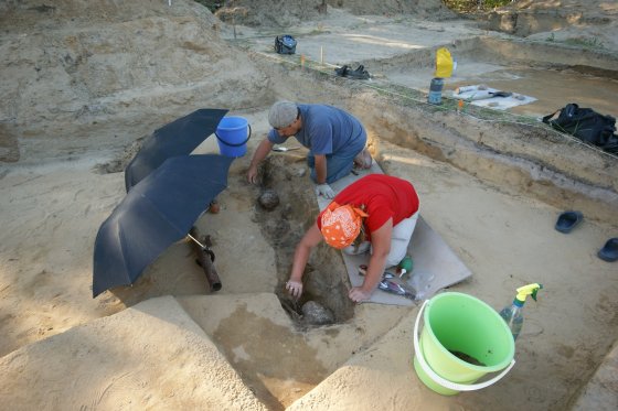 Игорь Побережников: Исследования торфяниковых памятников могут быть мощным средством популяризации наследия Среднего Урала