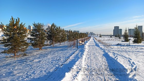 Преображение продолжается