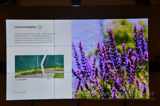 «Садовые истории»