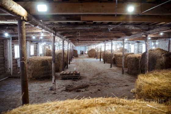 Студенты «апгрейдят» избы Студенты «апгрейдят» избы