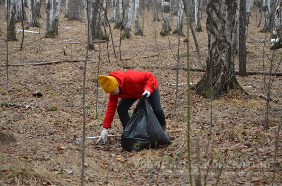 В Краснолесье жители объединились и навели порядок