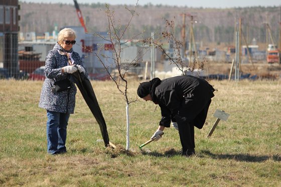 Академический субботник Академический субботник