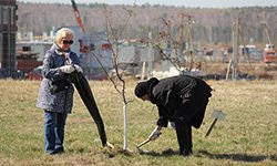 Академический субботник