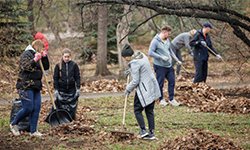 Субботник для города