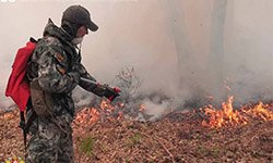 Противопожарная хроника