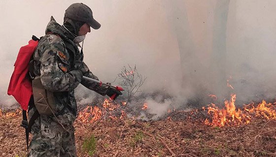 Противопожарная хроника