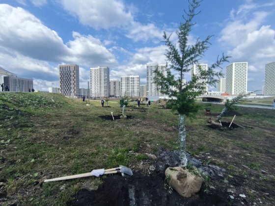 Выпускники Академического