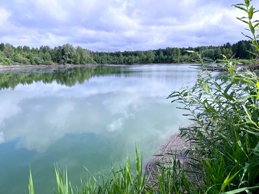 Специалисты ЕВРАЗа выпустили в сибирскую реку Томь 15 тыс. мальков ценного вида рыб