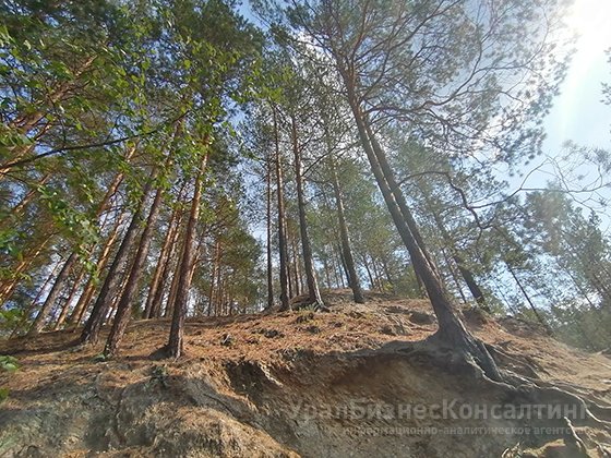 Не каменный цветок Не каменный цветок