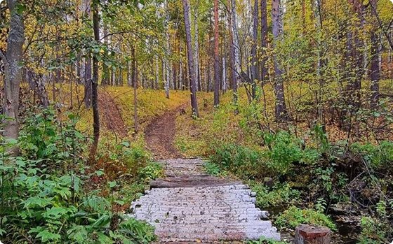 Свердловские фермеры будут развивать агротуризм Свердловские фермеры будут развивать агротуризм