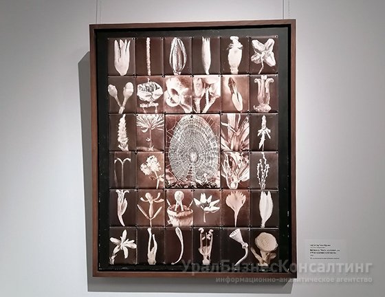 Фото в объективе Фото в объективе