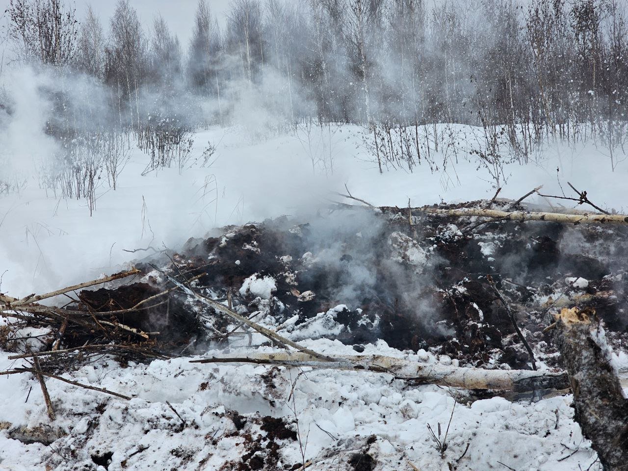 Уральская авиабаза приступила к превентивному тушению тлеющего торфяника вблизи поселка Ольховка Уральская авиабаза приступила к превентивному тушению тлеющего торфяника вблизи поселка Ольховка