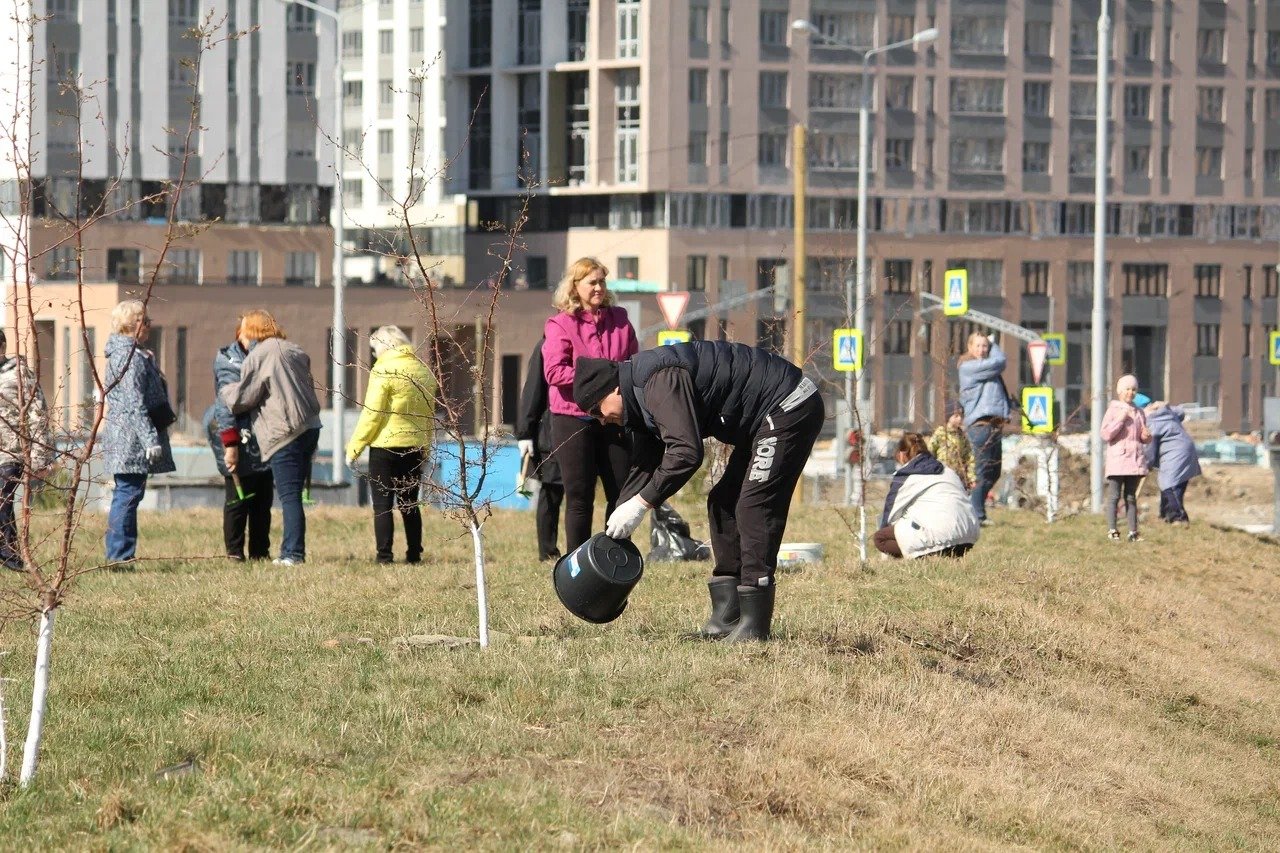 Плановый субботник Плановый субботник