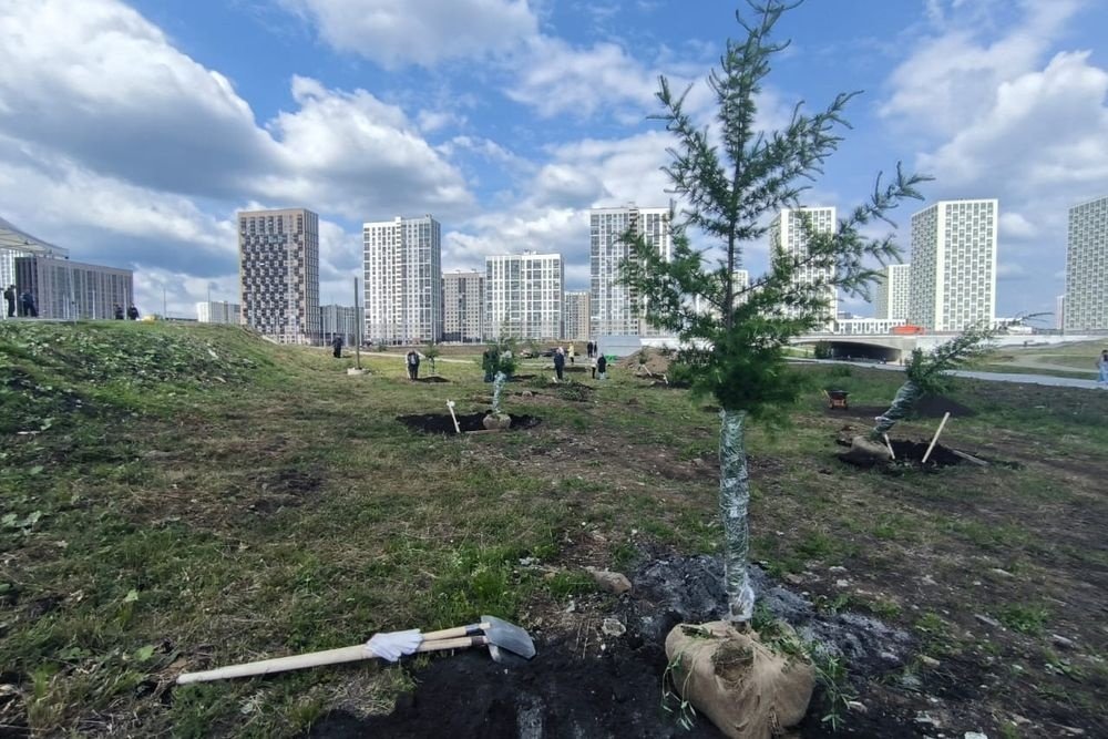 Плановый субботник Плановый субботник