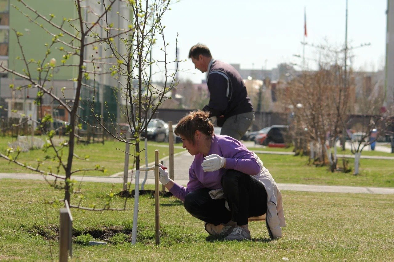 Плановый субботник Плановый субботник