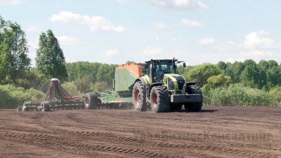 Прогнозы сушат урожай