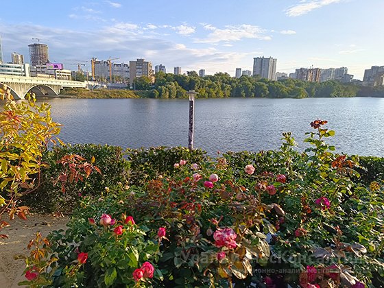 Татьяна Свяжина: Семь садов «Атмофеста» будут радовать горожан круглый год Татьяна Свяжина: Семь садов «Атмофеста» будут радовать горожан круглый год
