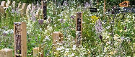 Парк для всех Парк для всех