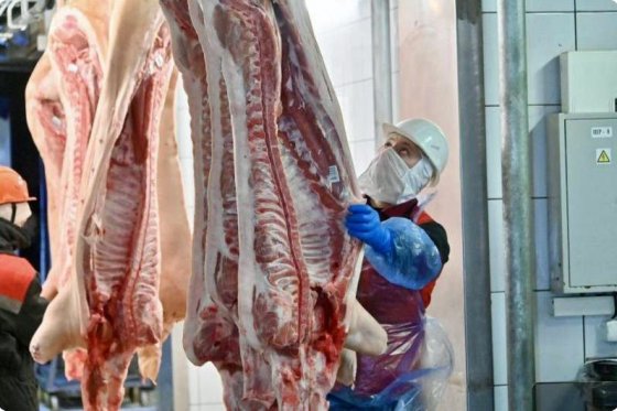 Свердловские аграрии наращивают экспорт Свердловские аграрии наращивают экспорт