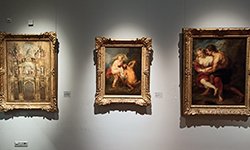 Хвостатые друзья, скрипка и интернационал