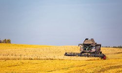 Свердловская область развивает сельские территории