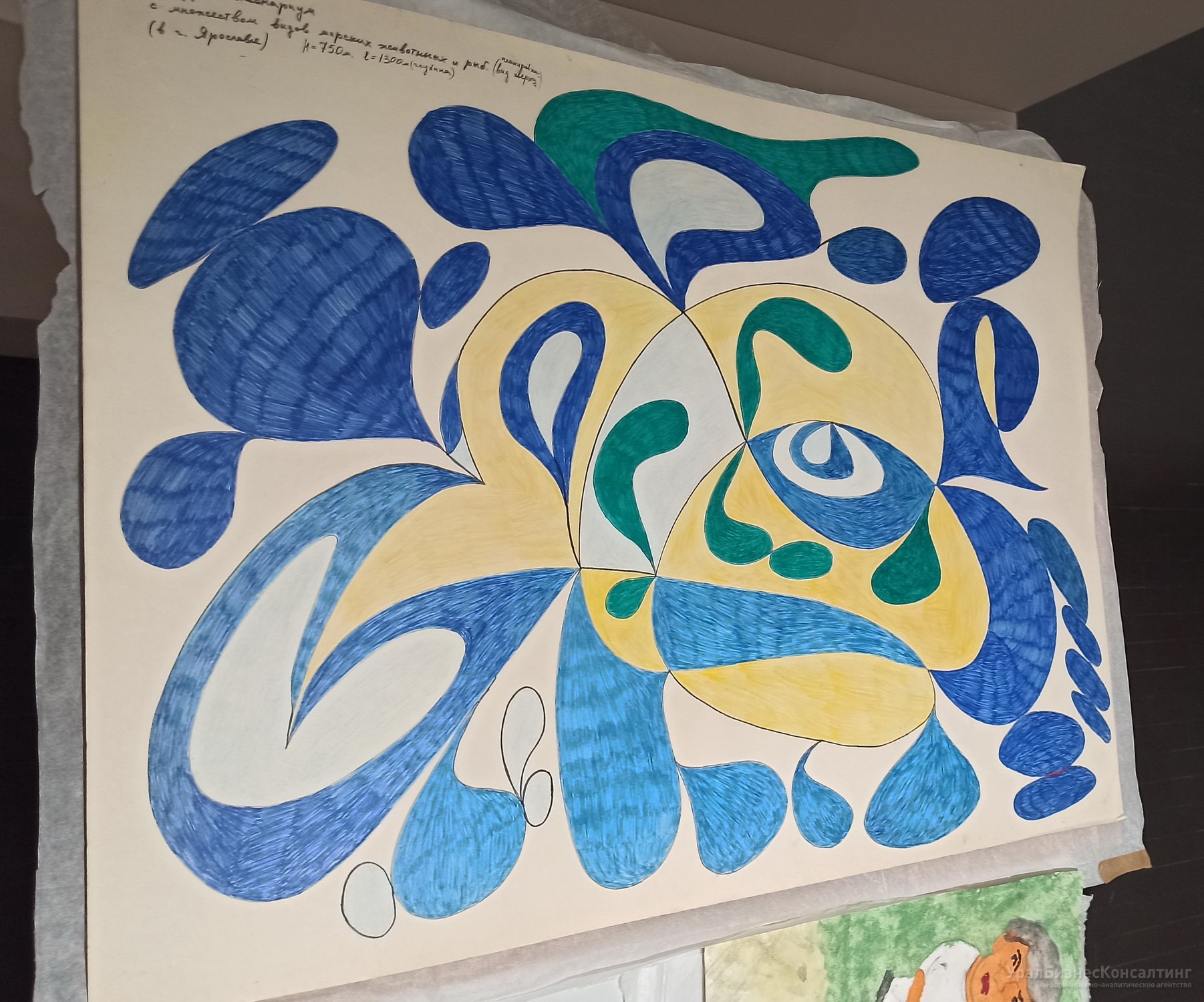 Этнофлористический симметризм Этнофлористический симметризм