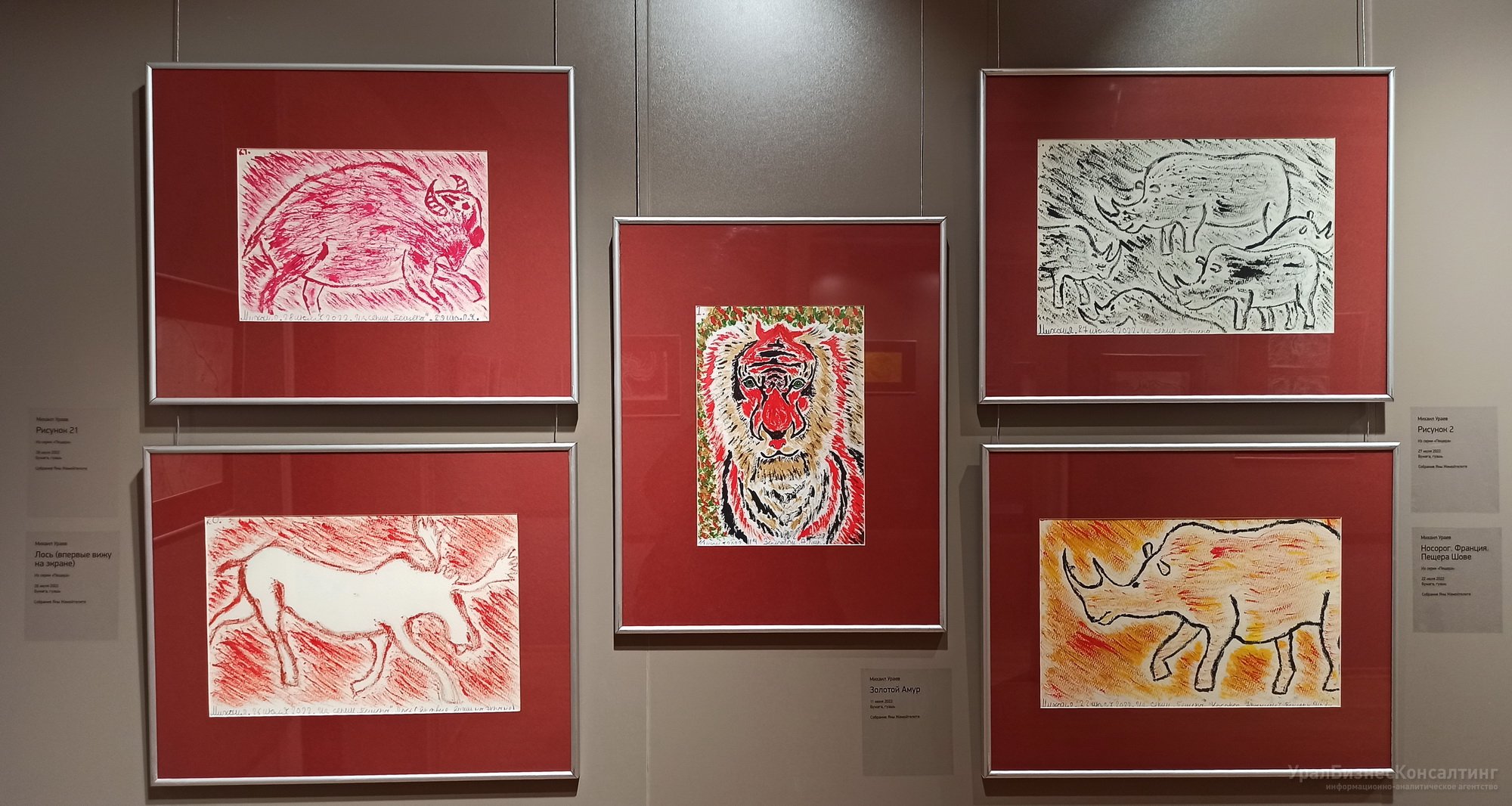 Время неопознанных колокольчиков Время неопознанных колокольчиков