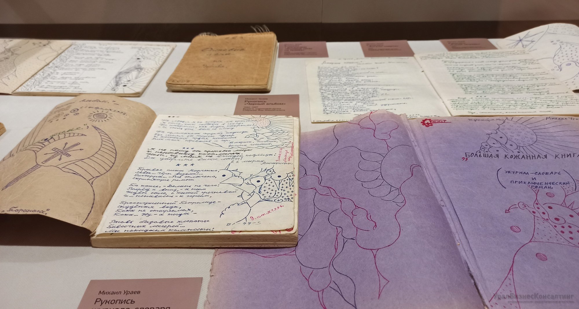 Время неопознанных колокольчиков Время неопознанных колокольчиков