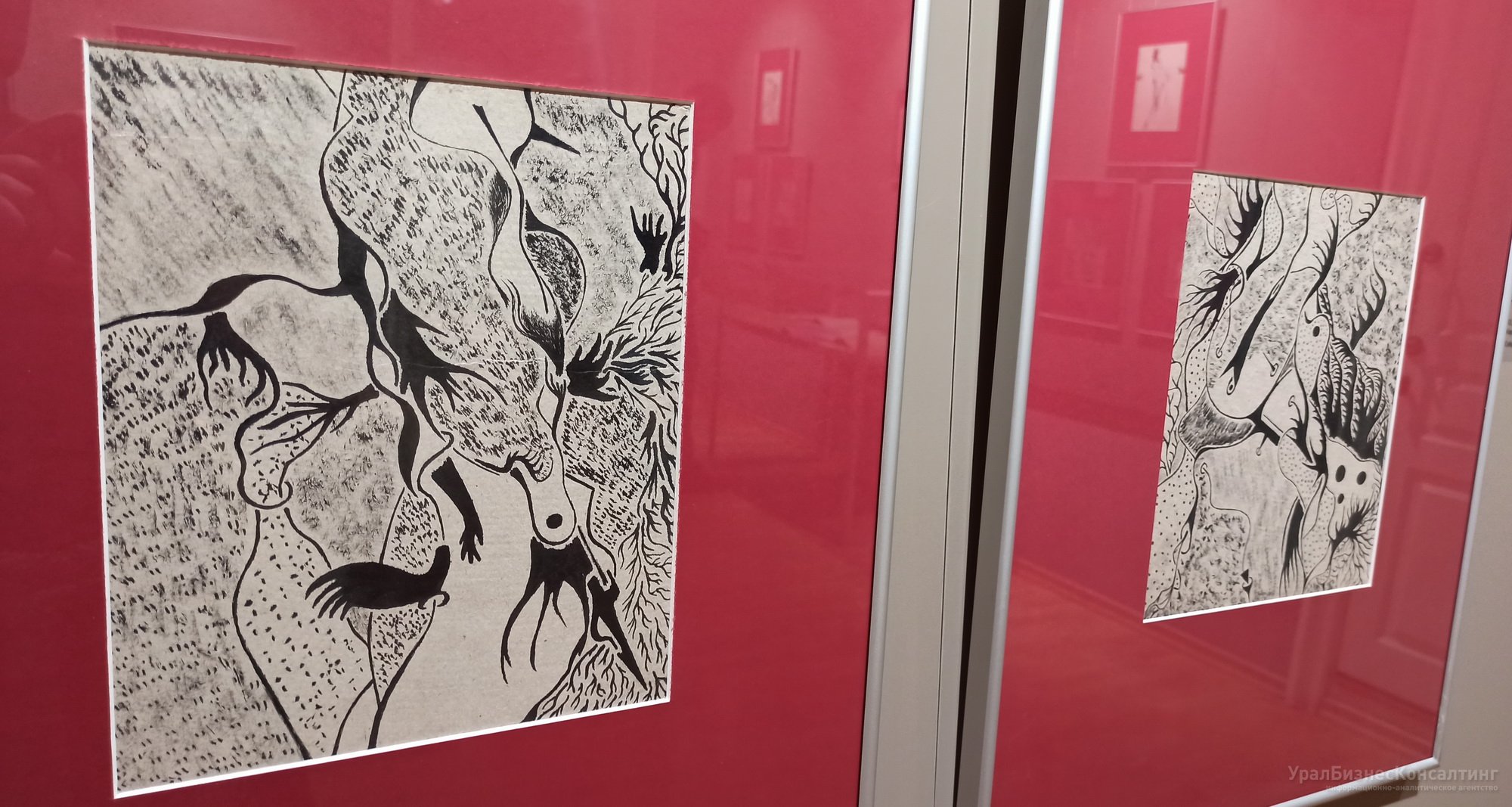 Время неопознанных колокольчиков Время неопознанных колокольчиков