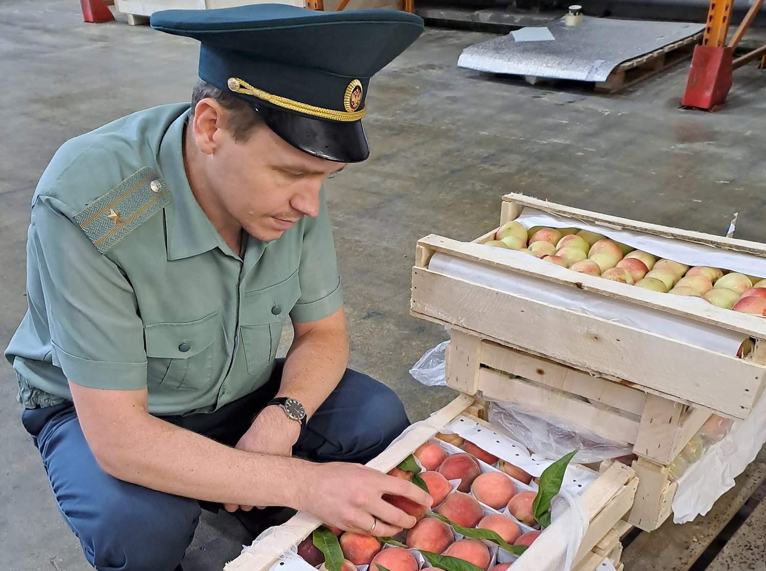 Импорт узбекских нектаринов на Урал с начала года вырос более чем в два раза