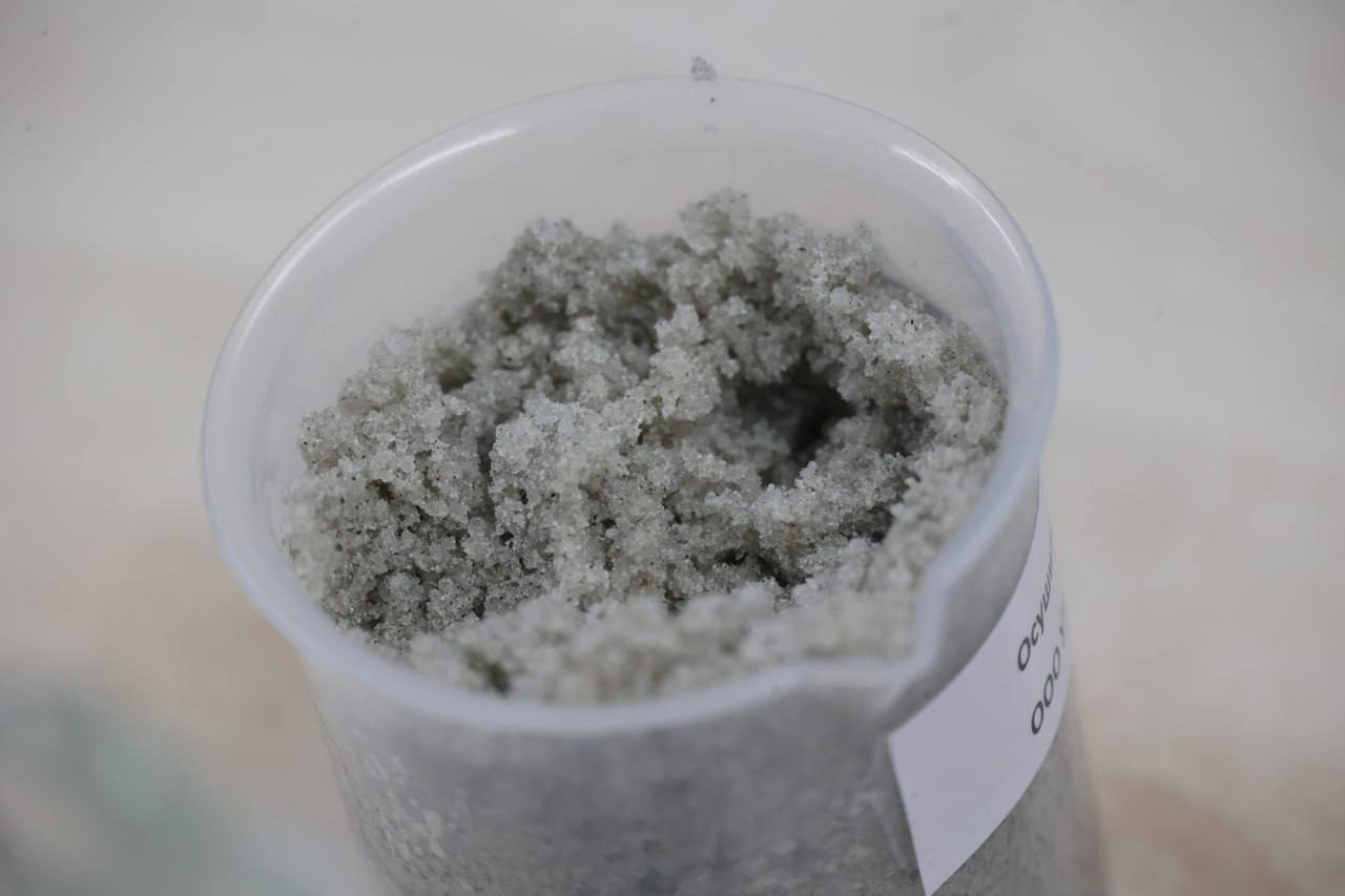 Денис Паслер высоко оценил вклад заводов «Атомстройкомплекса» в улучшение экологии региона