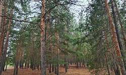 Куда ведет Большая уральская тропа