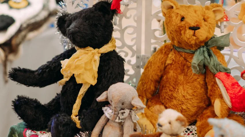 Фото предоставлено пресс-службой СОФПП