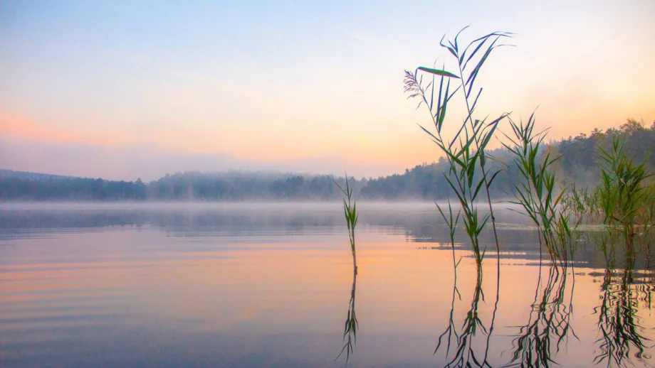 Фото предоставлено департаментом информационной политики Свердловской области