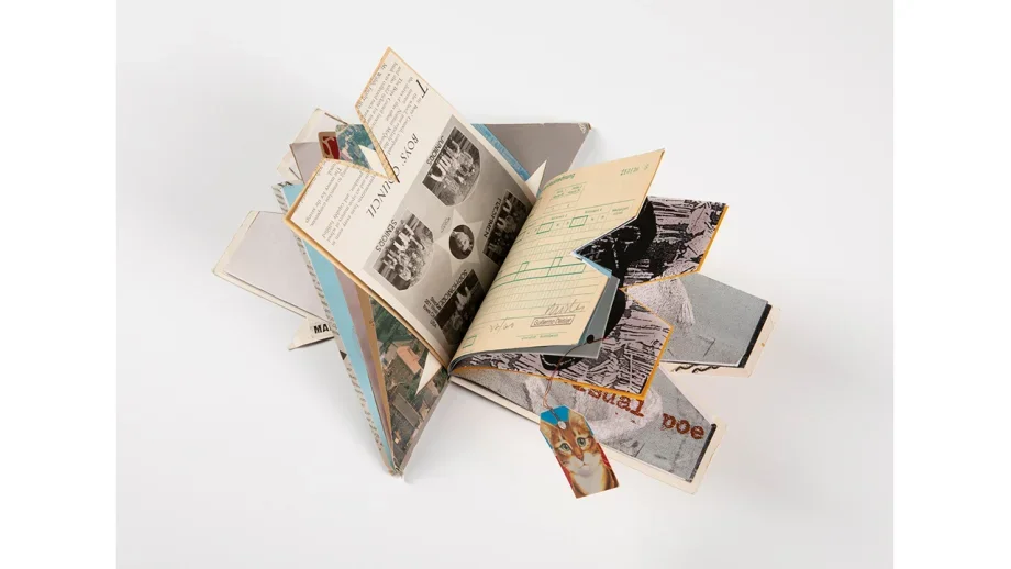 Фото предоставлено пресс-службой ЕМИИ