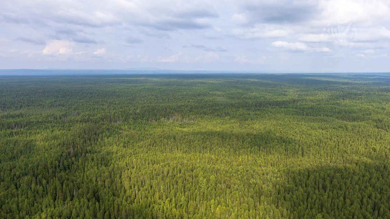 Фото предоставлено департаментом информационной политики Свердловской области